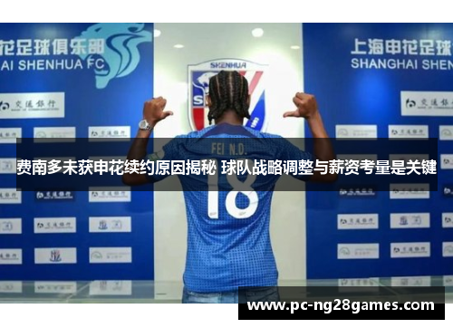 费南多未获申花续约原因揭秘 球队战略调整与薪资考量是关键 费南多未获申花续约原因揭秘 球队战略调整与薪资考量是关键