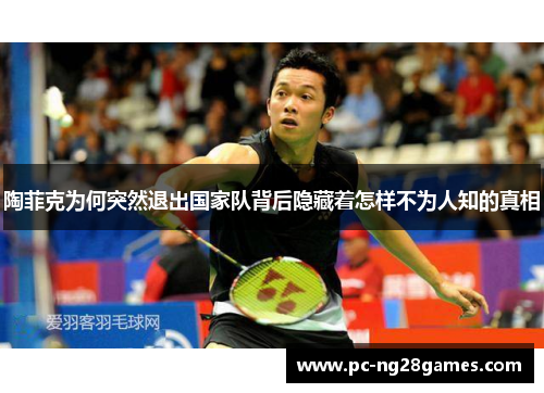 陶菲克为何突然退出国家队背后隐藏着怎样不为人知的真相 陶菲克为何突然退出国家队背后隐藏着怎样不为人知的真相