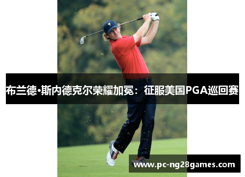 布兰德·斯内德克尔荣耀加冕:征服美国PGA巡回赛 布兰德·斯内德克尔荣耀加冕:征服美国PGA巡回赛